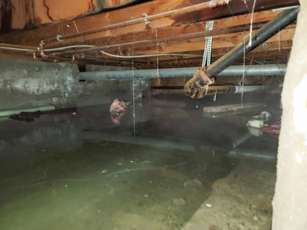 Best Ceiling water damage repair  in Muskego, WI