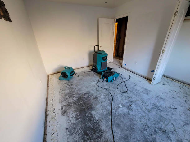 Best Water damage contractors near me  in Muskego, WI