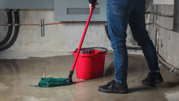 Best Mold removal after water damage  in Muskego, WI