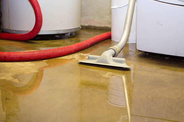 Best Residential water damage restoration  in Muskego, WI