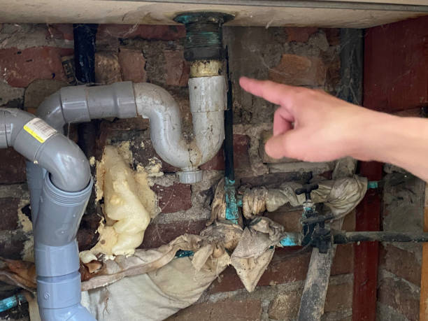 Best Flooded house restoration  in Muskego, WI