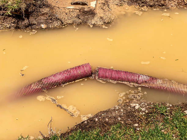 Best Flood restoration services  in Muskego, WI